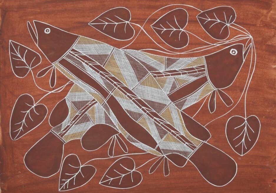Fish & Lily pads