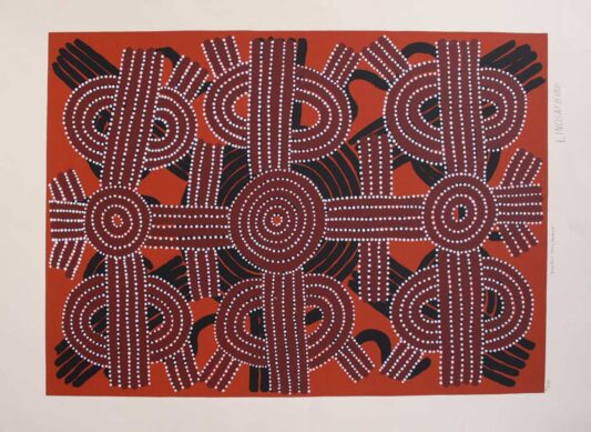 Bush Plum Story – Arakia by Lindsay Bird 
