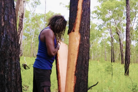 Maningrida Artists Bark Collection