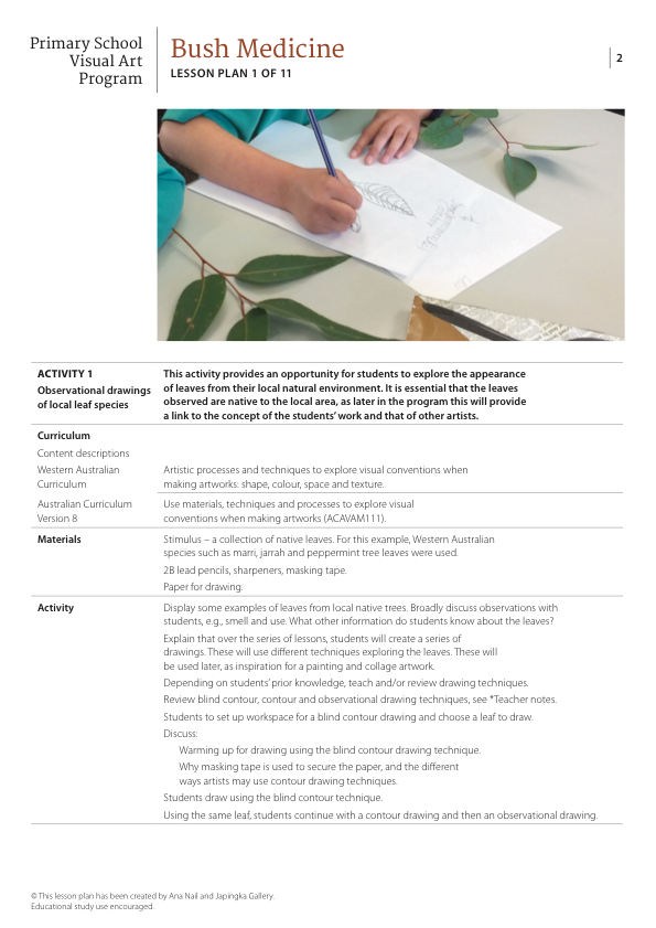 Bush Medicine Lesson Plan 1